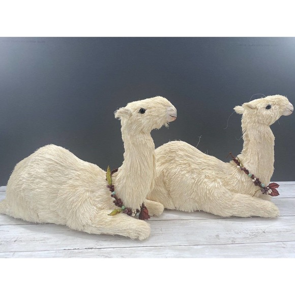 Trademark Exclusive Large Pair Decorative Nativity SITTING Lamas/Camels 11x16" - Picture 4 of 12